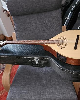 ottave mandolin  mandocello. Hora