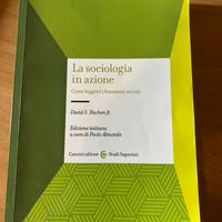 libro la sociologia in azione