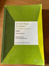 libro la sociologia in azione