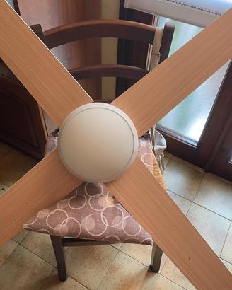 Ventilatore da soffitto