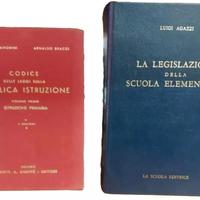 La Legislatura  Scuola Elementare Codice Leggi