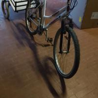 Bici con carrello porta spesa o quello che vuoi