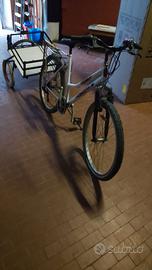 Bici con carrello porta spesa o quello che vuoi