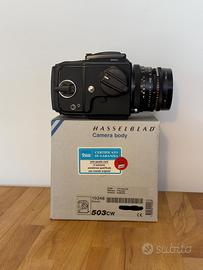 Hasselblad 503 CW - Planar CF 80mm - Mag. A12