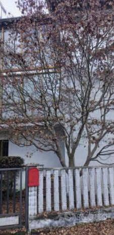 Appartamento – Cossato, Borio - Vista 3