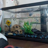 Acquario 15L completo