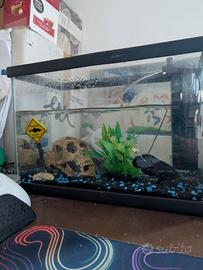 Acquario 15L completo