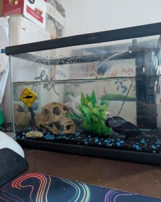 Acquario 15L completo
