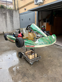 Tony Kart 100cc