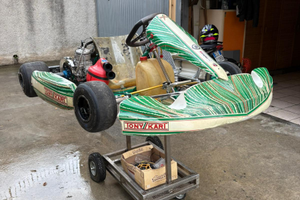 Tony Kart 100cc