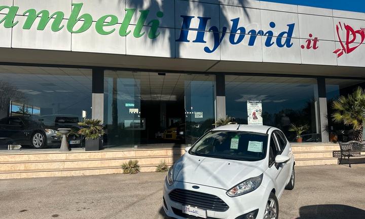 Ford Fiesta 1.5 TDCi 75CV 5 porte Black & White Ed