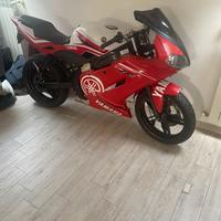 Smembro yamaha tzr 50