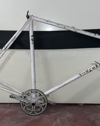 Telaio bici