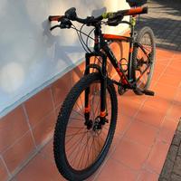 Bicicletta Mountain Bike