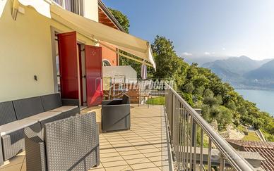 DUE LOCALI CON TERRAZZO VISTA LAGO