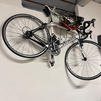 Specialized roubaix in carbonio