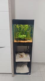 Acquario askoll piure m con mobile già avviato