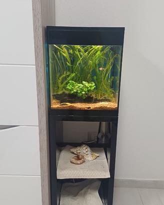 Acquario askoll piure m con mobile già avviato