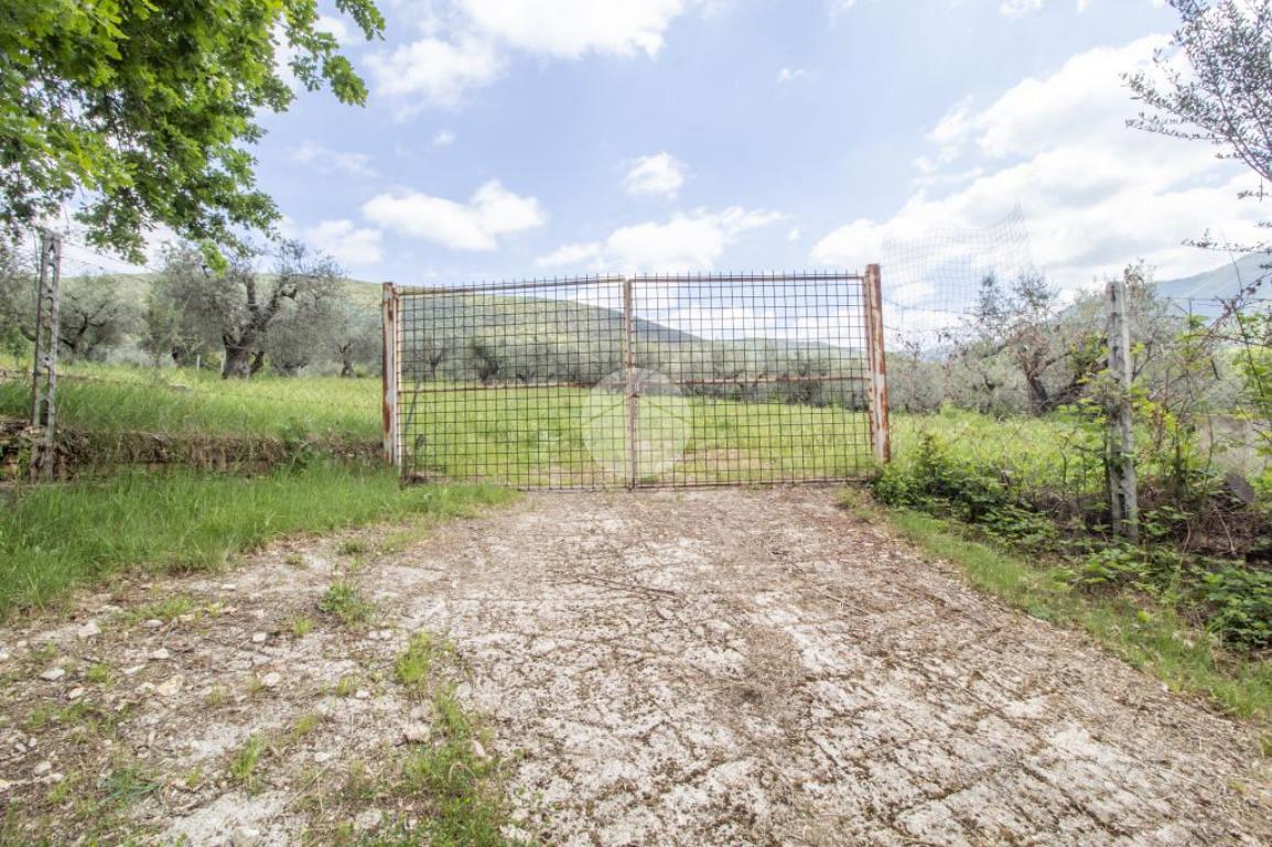 TER. AGRICOLO A PALOMBARA SABINA - Vista 2