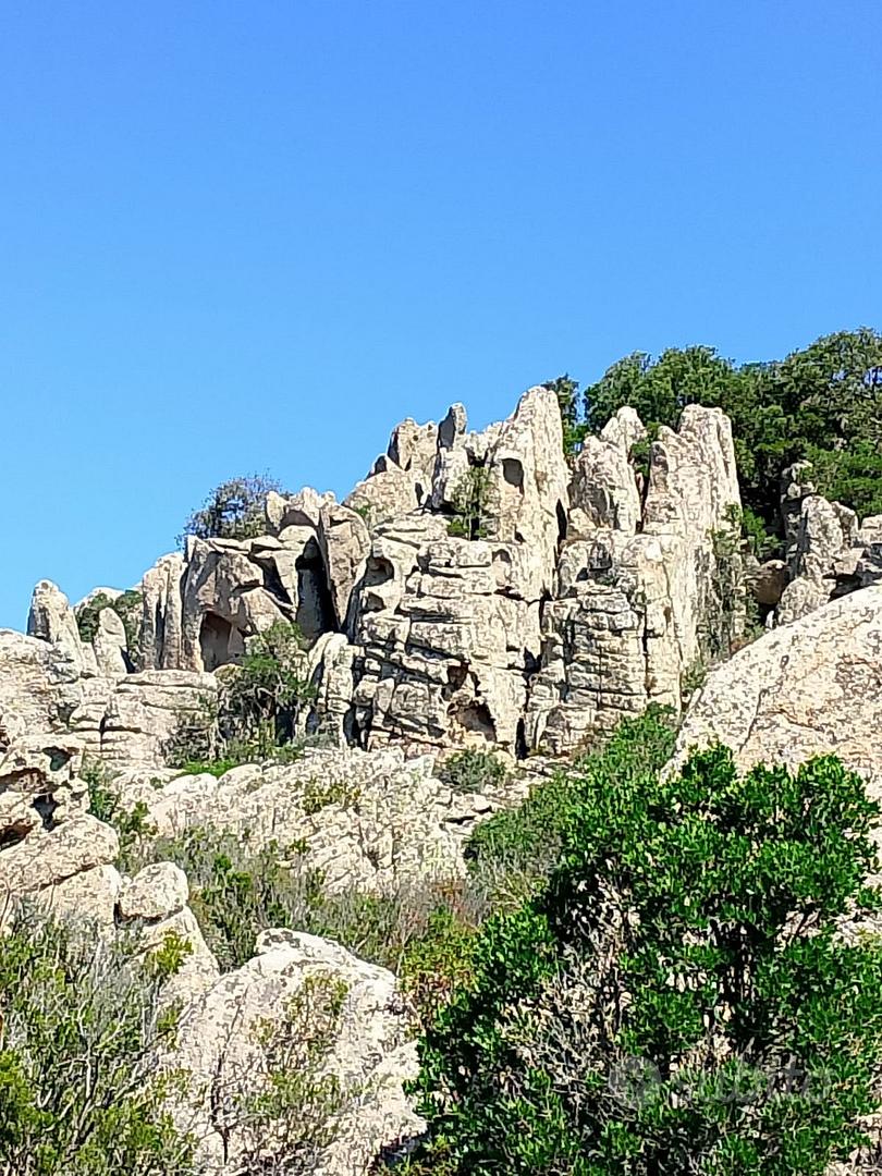Terreno panoramico con rudere Gallurese - Altro