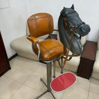 Cavallo Barbiere bambini