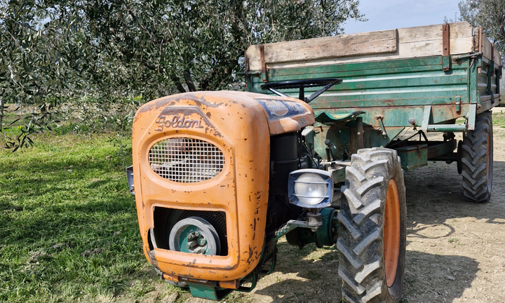 Motoagricola Goldoni 18 cv
