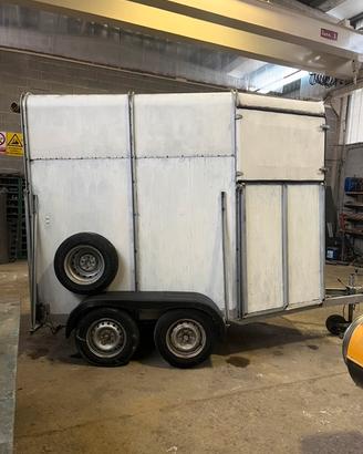 Trailer trasporto Cavalli