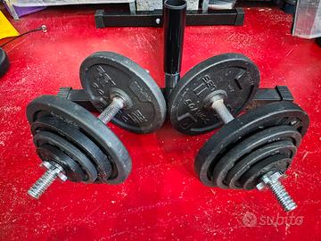manubri palestra 40kg