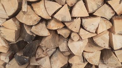 legna da ardere stagionata