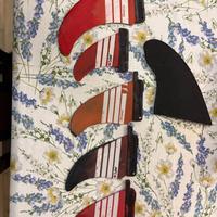 Pinne windsurf e surf