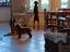 Immagine 5