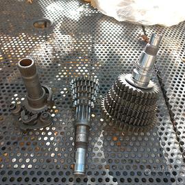 sachs 50 6 marce