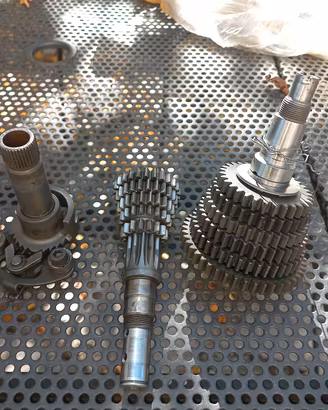 sachs 50 6 marce
