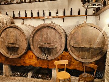 Botti in castagno do varie dimensioni