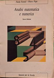 Analisi matematica e numerica.