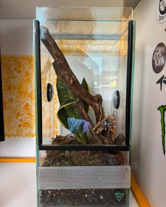 Terrario bioattivo verticale