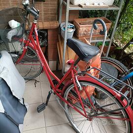 Bicicletta da passeggio 