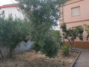 Casa due appartamenti