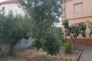 Casa due appartamenti
