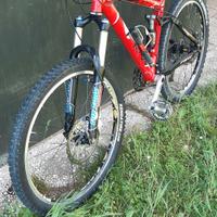 Bici MTB muscolare