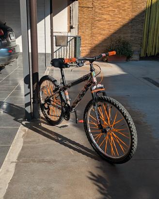 bicicletta itek (leggi la descrizione)