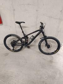 Trek Remedy 8