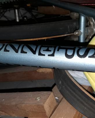 Bicicletta da corsa spezzotto vintage