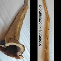 VARI DIDGERIDOO 