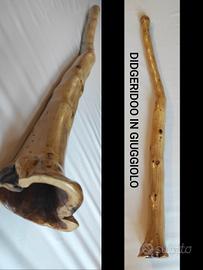 VARI DIDGERIDOO 