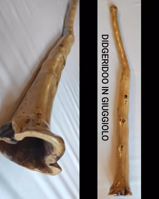 VARI DIDGERIDOO 