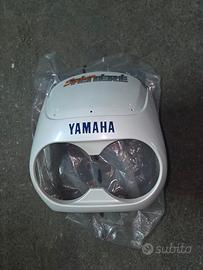 Cupolino Porta Fari  XTZ  750 Super Tenere