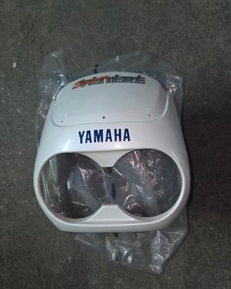 Cupolino Porta Fari  XTZ  750 Super Tenere