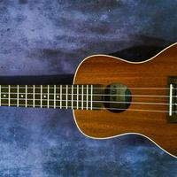 Kala Ukulele soprano con custodia