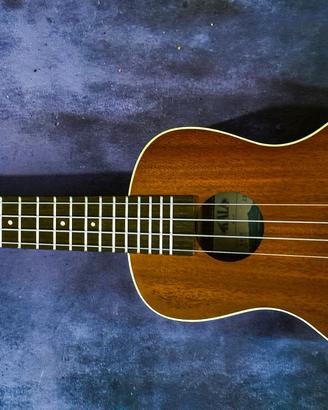 Kala Ukulele soprano con custodia